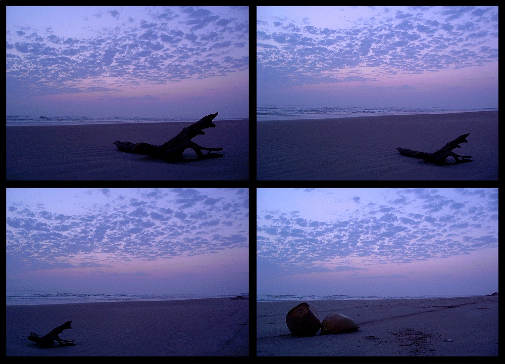 (03) blue dawn montage (day 5 - backup).jpg   (1000x720)   281 Kb                                    Click to display next picture